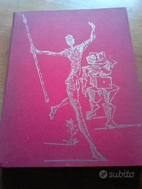 Don chisciotte della mancia