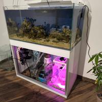 Acquario marino extrachiaro completo di tutto 