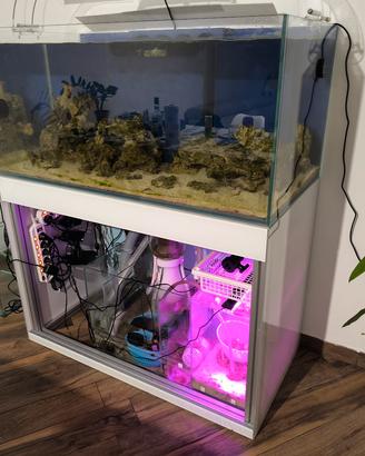 Acquario marino extrachiaro completo di tutto 