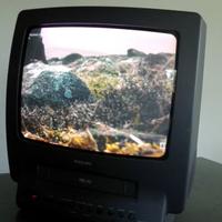 VINTAGE_ TV 14" combi VIDEOREGISTRATORE