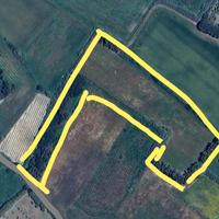 Terreno 2 ettari circa a 5 min da Oristano