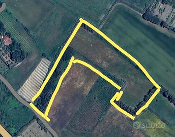 Terreno 2 ettari circa a 5 min da Oristano