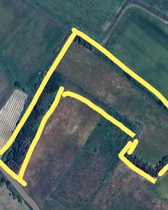 Terreno 2 ettari circa a 5 min da Oristano