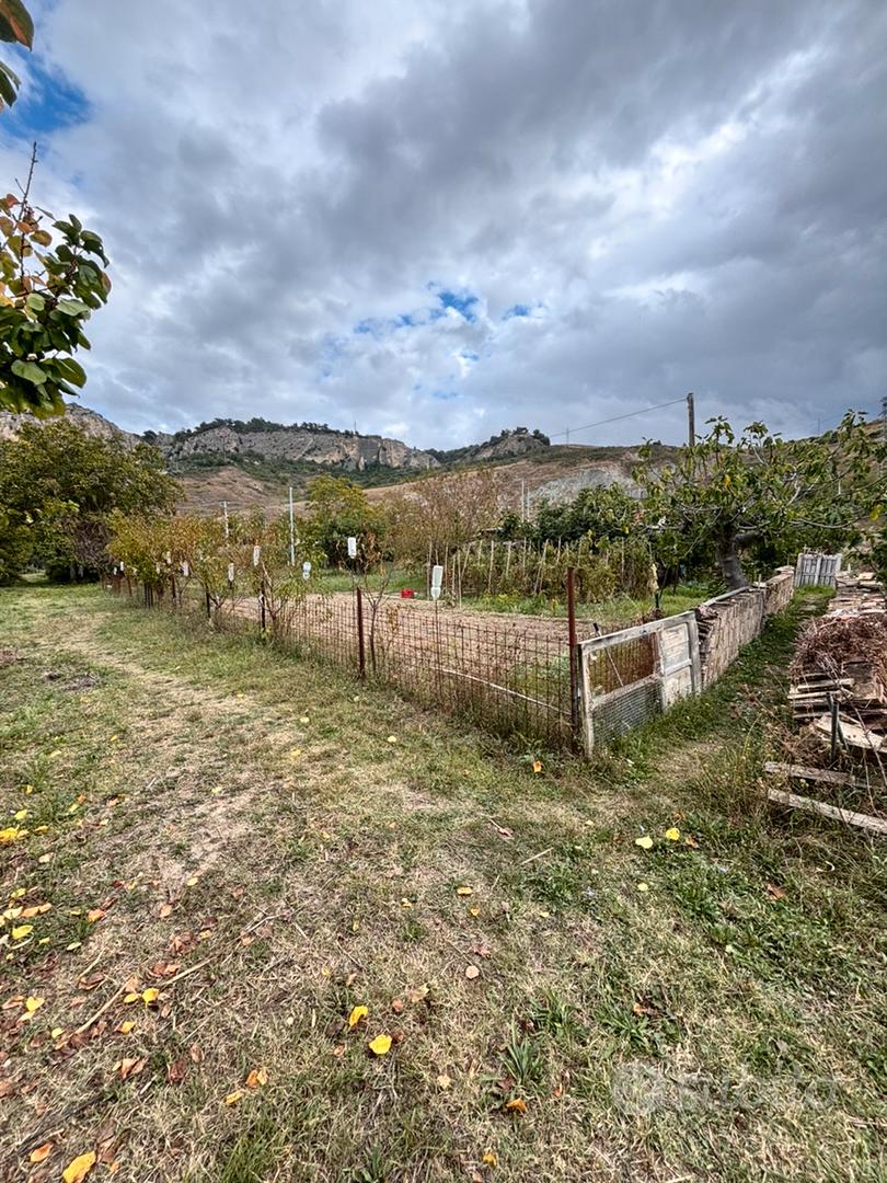 Terreno agricolo con ulivo - Vista 3