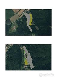 Un po' di TERRA per Uno o più Desideri