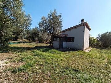 Terreno recintato con casaletto e varie piante