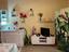 Immagine 19