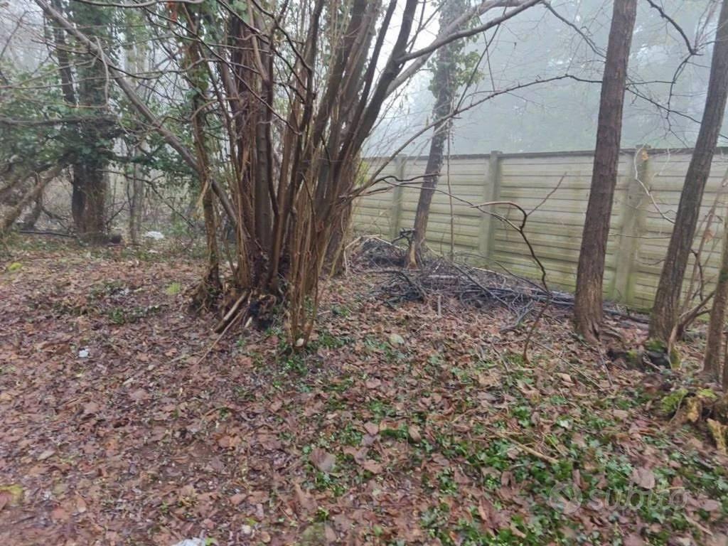 Immobile in asta di 1785 m² a Castellanza - Vista 2