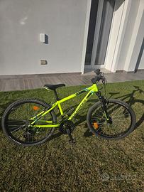 Bicicletta da bambino