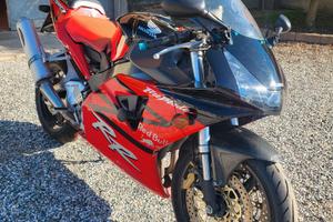 CBR 954