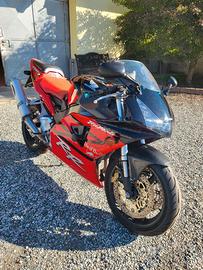 CBR 954