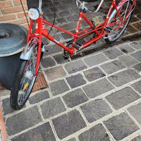 Tandem bottecchia