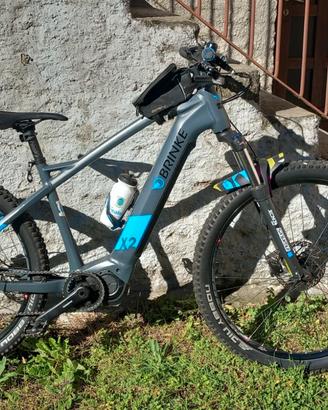 Bicicletta elettrica Brinke
