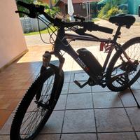 Bicicletta elettrica