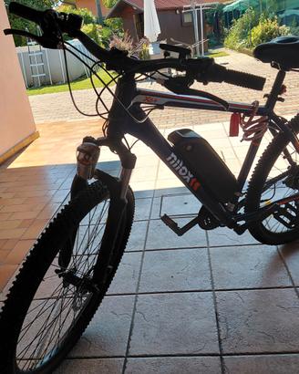 Bicicletta elettrica