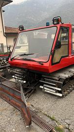 Battipista , gatto delle nevi Prinoth t2