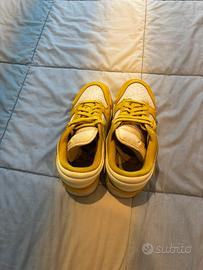 Nike dunk sb da donna