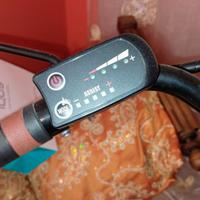 bicicletta elettrica 