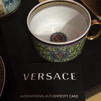 Porcellana versace