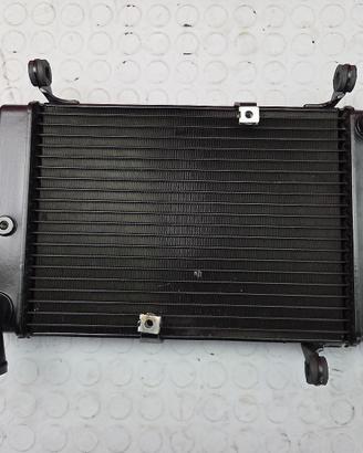 RADIATORE ACQUA HONDA DEAUVILLE 700 2006 2012 NT70
