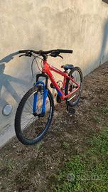 Bici  MTB torpado 
