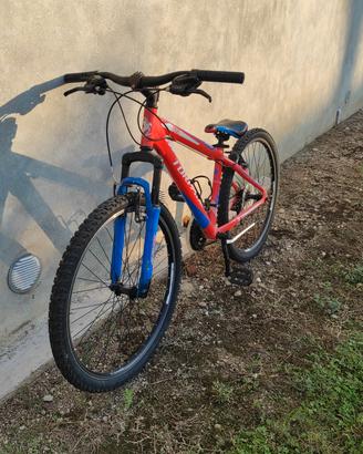 Bici  MTB torpado 