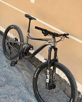 Giant reign 29 del 2022