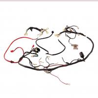 Impianto elettrico per Garelli Tiesse 50 R 2 tempi