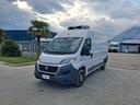 fiat-ducato-furgonato-frigorifero-trasporto-carne
