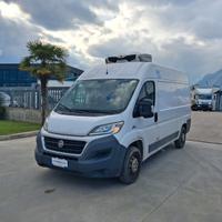 Fiat Ducato Furgonato Frigorifero TRASPORTO CARNE