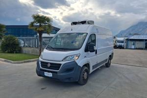 Fiat Ducato Furgonato Frigorifero TRASPORTO CARNE