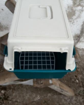 Trasportino per gatto