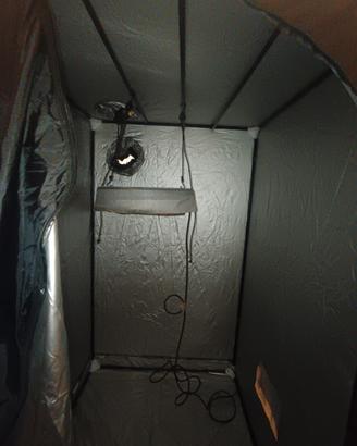 cultibox tenda