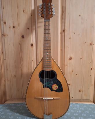 Mandola tenore Comet