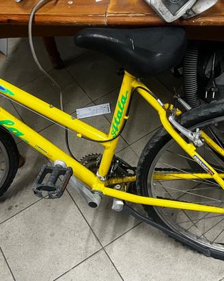 Mtb bicicletta 24 atala