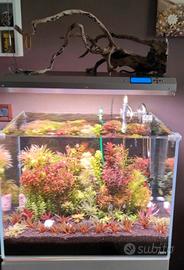 plafoniera acquario ATI 6X24