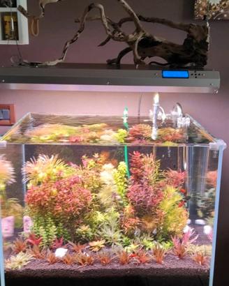 plafoniera acquario ATI 6X24