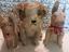 Immagine 6