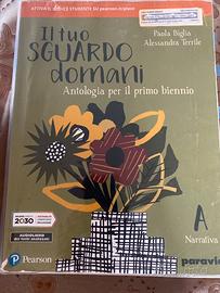 Il tuo sguardo domani