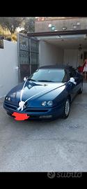 Alfa spider