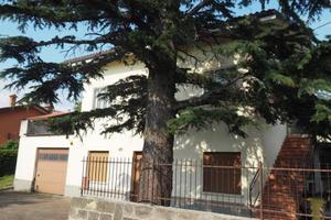 Rif.24183| villa trieste