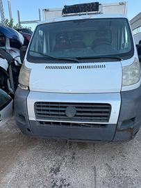 FIAT DUCATO CON CELLA FRIGORIFERO