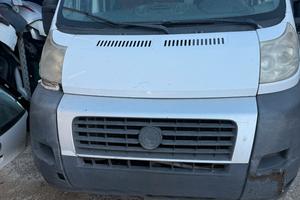 FIAT DUCATO CON CELLA FRIGORIFERO