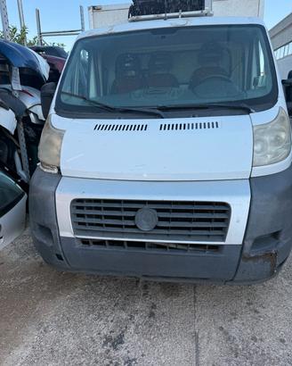 FIAT DUCATO CON CELLA FRIGORIFERO