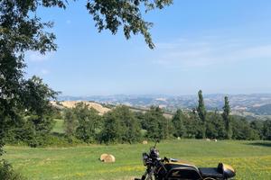 Honda CB 900 F Bol d'Or