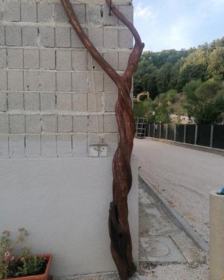 arredamento per interni ed esterni di designer 