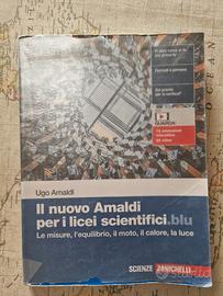 Il nuovo Amaldi blu vol. 1