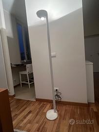 Lampada a piantana alogena