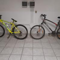 Coppia Mountain Bike 26"/28"