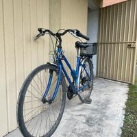 Bicicletta a marce